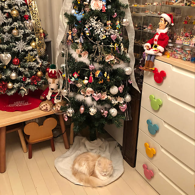 hiromiさんの実例写真