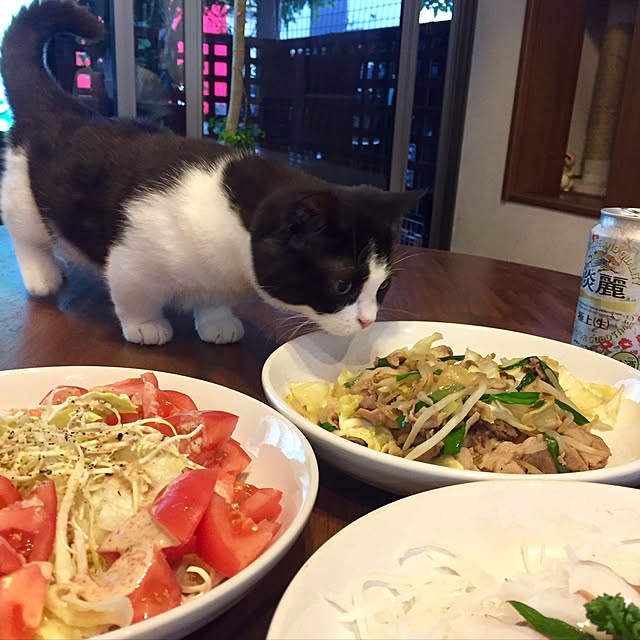 butachanさんの実例写真