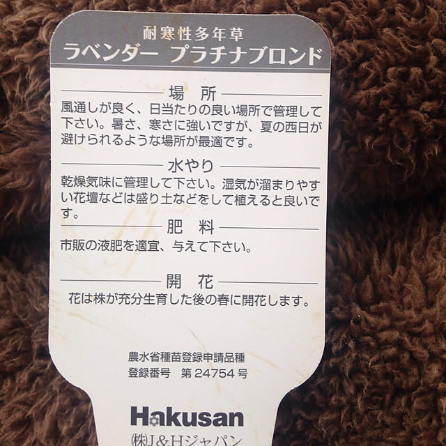 Akikoさんの実例写真