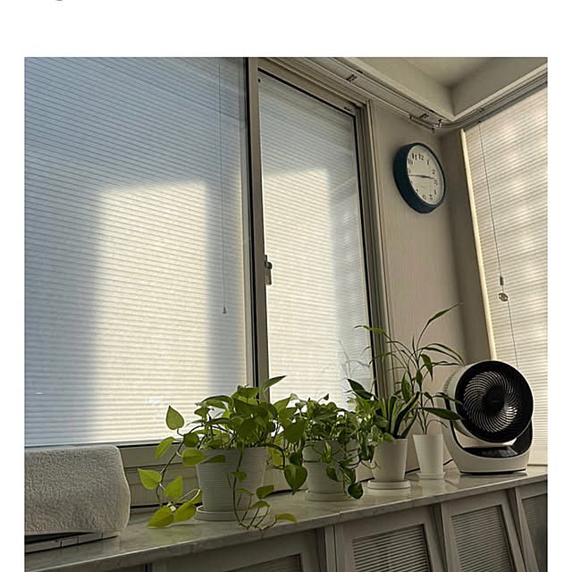 Rainyさんの部屋