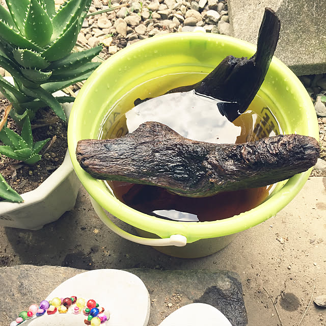 sachanさんの実例写真