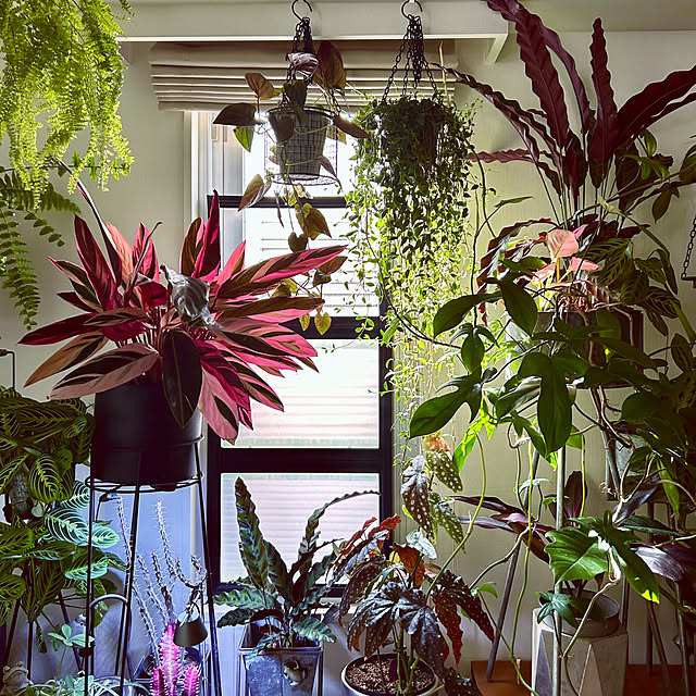 DAYONEさんの実例写真