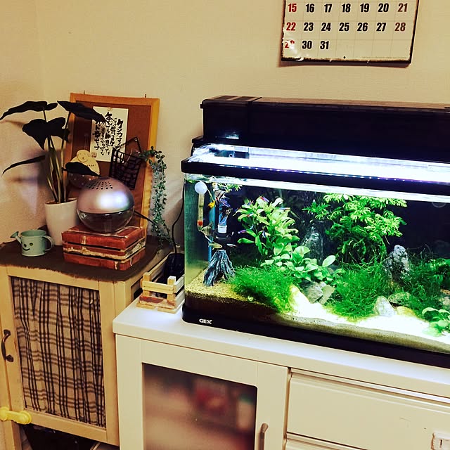 kananakaさんの実例写真