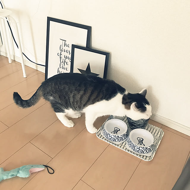 Kさんの実例写真