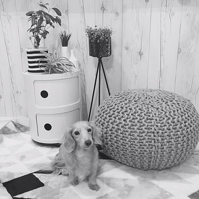 tiara0607さんの実例写真