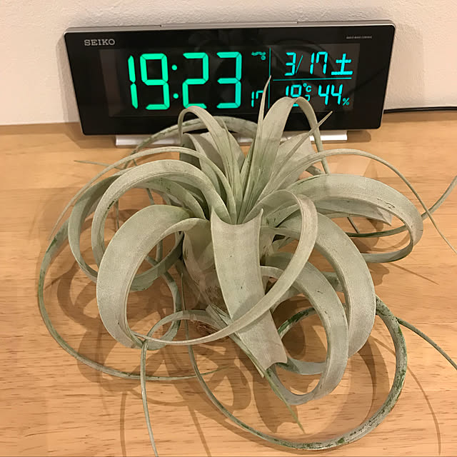 kokonyanさんの実例写真