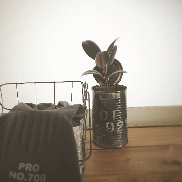 rookuさんの実例写真
