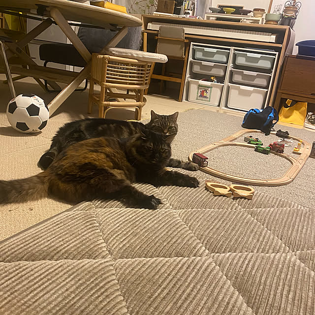 mikomaruさんの実例写真