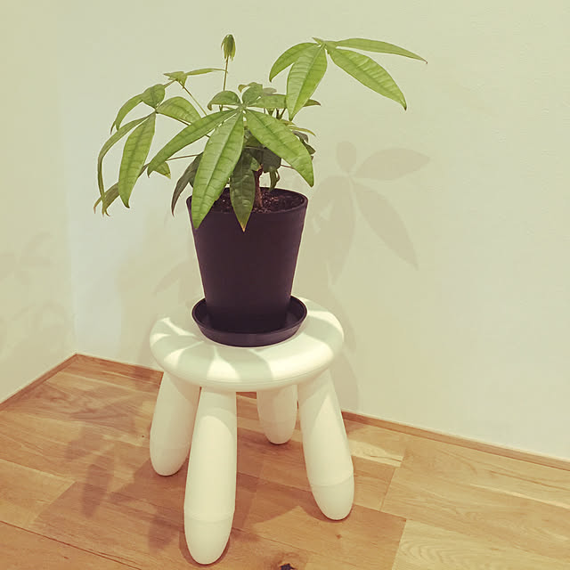 wood------k-----yさんの実例写真