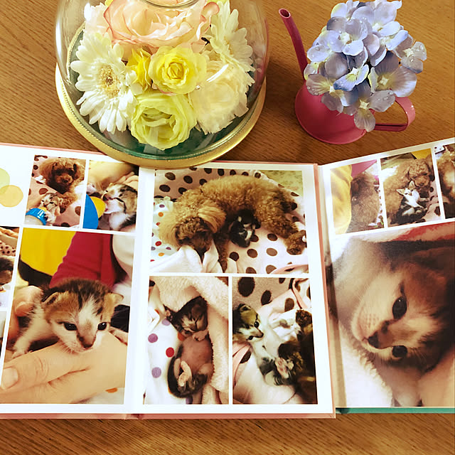 haruminさんの実例写真