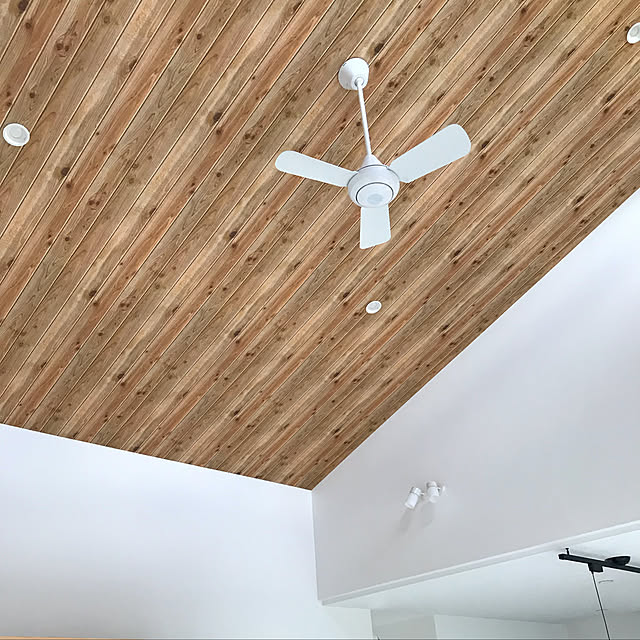 壁/天井のインテリア実例 - 2019-07-13 15:38:35