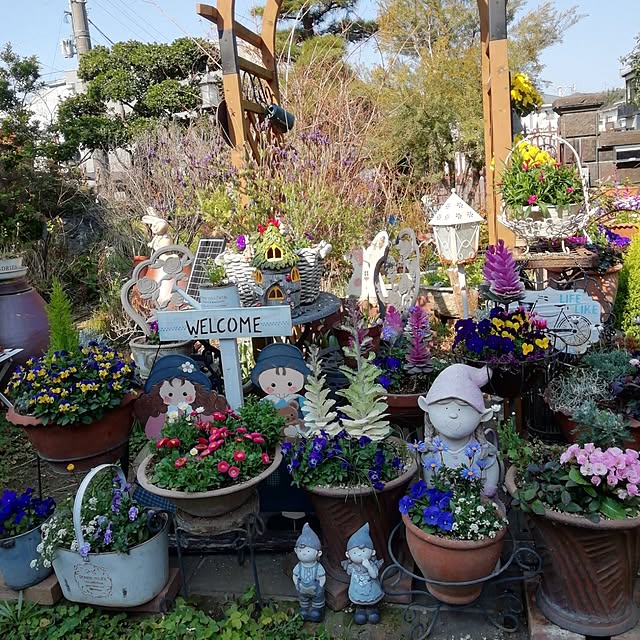 ワーゲンバスの ガーデンポット🪴 多肉植物を植えるのに