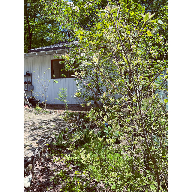 marucoさんの部屋