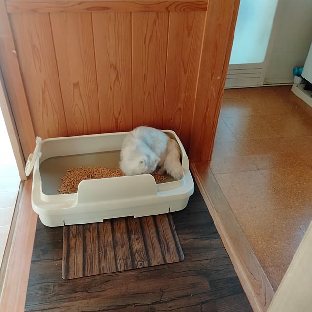 makaronさんの実例写真