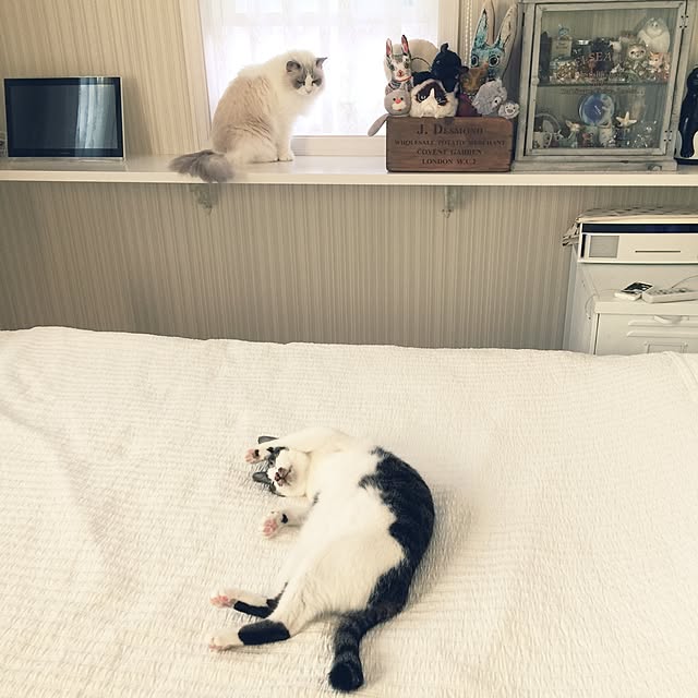 yuchiさんの実例写真