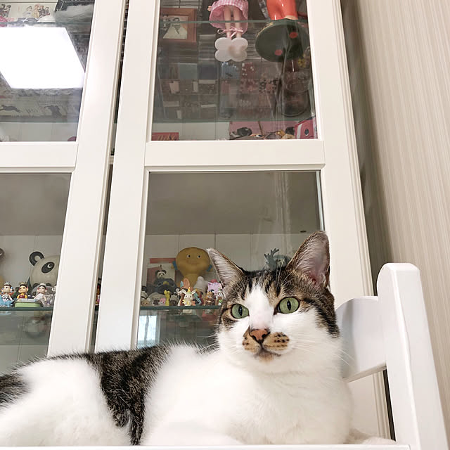 yuchiさんの実例写真