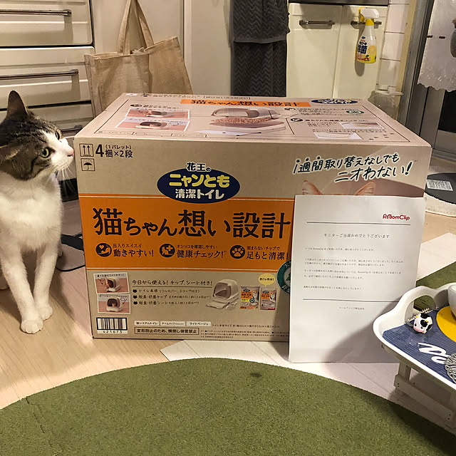 mikenekoさんの実例写真