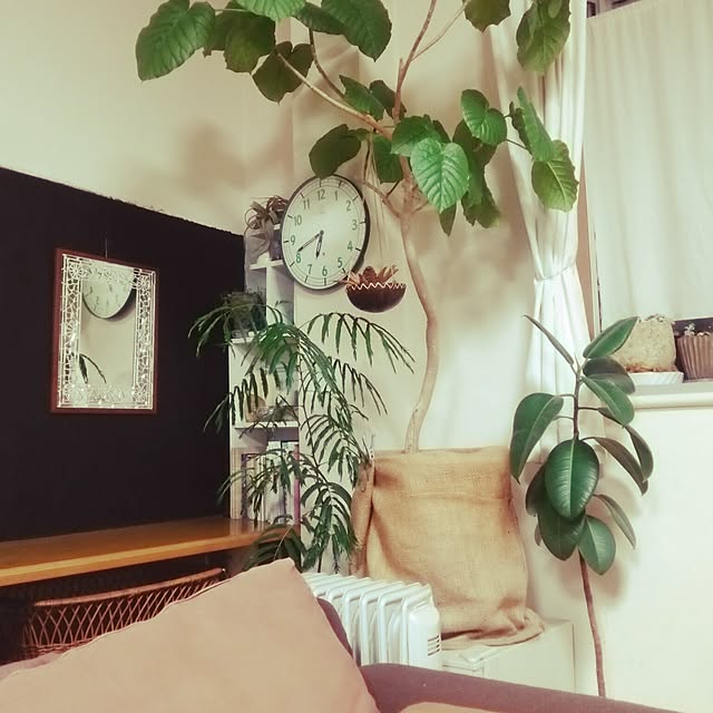 mikan.さんの部屋