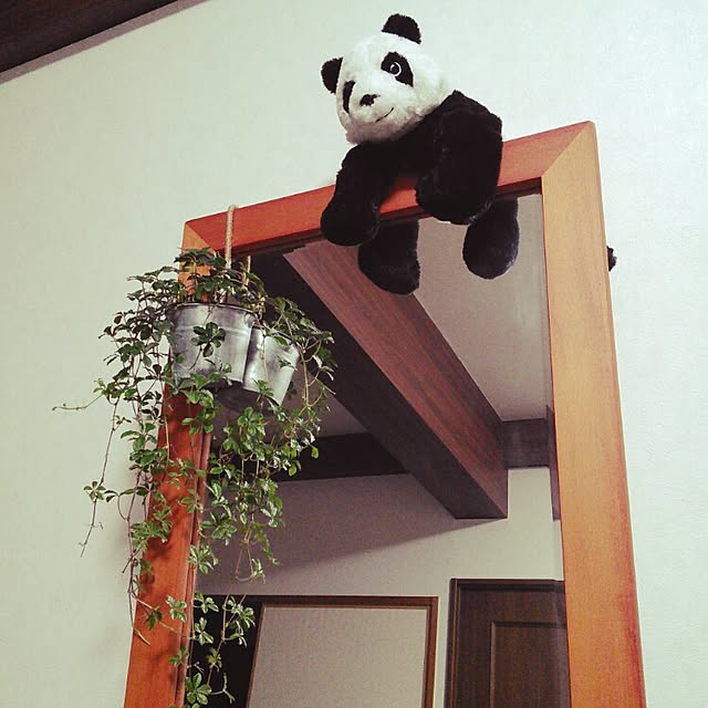 lovepandaさんの実例写真