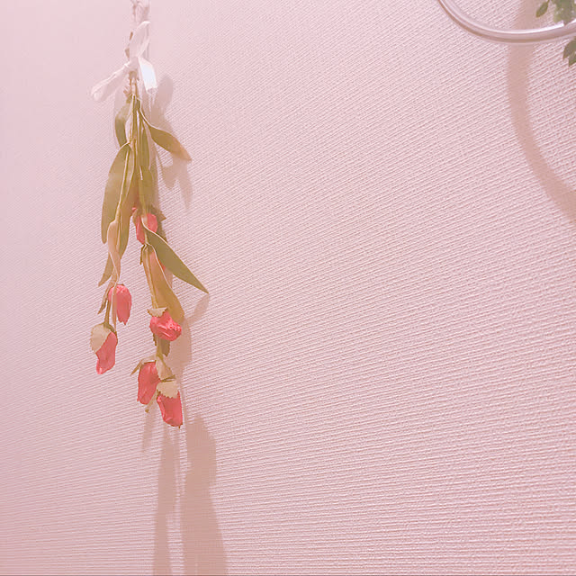 omiさんの実例写真