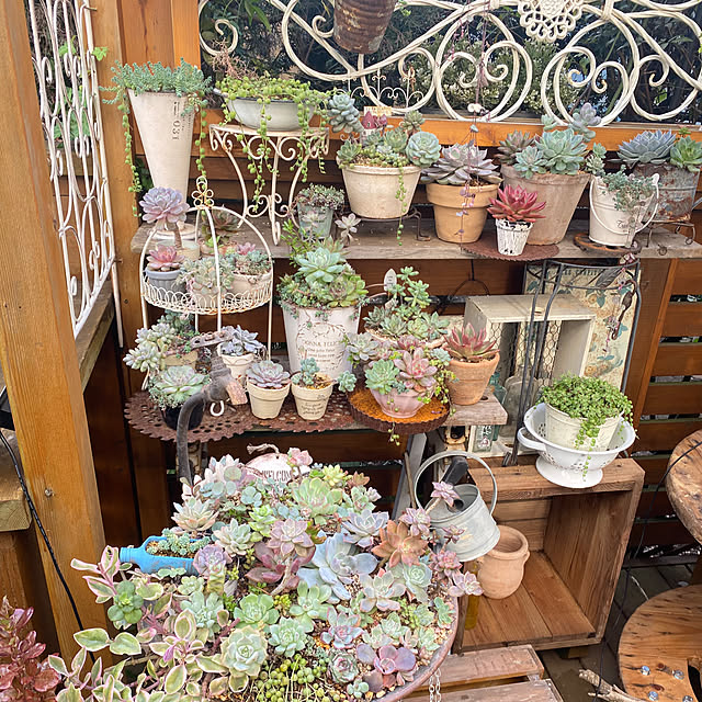 mintteaさんの部屋