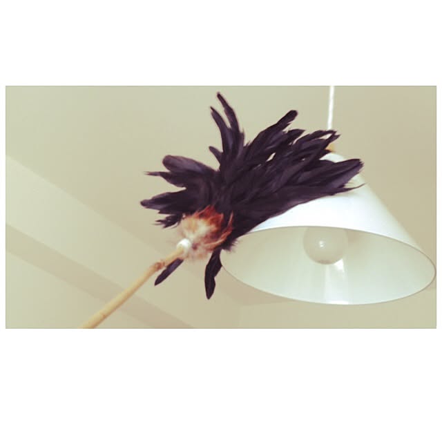 yseさんの実例写真