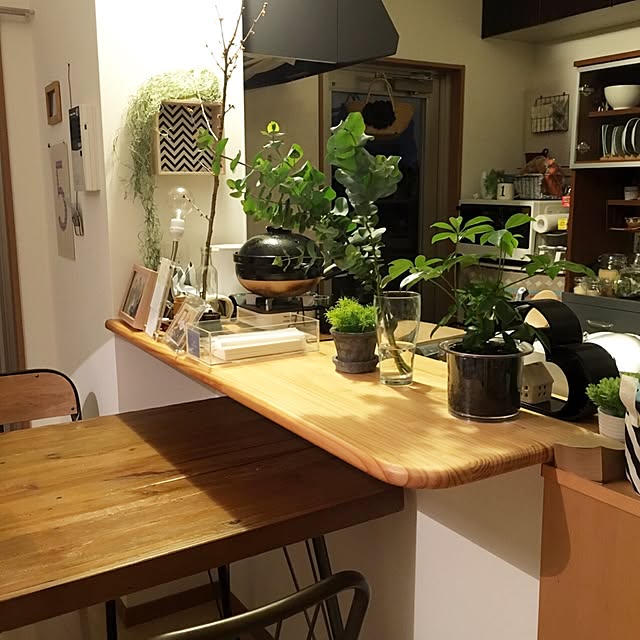 部屋全体/キャンドゥ/3COINS/フライングタイガーコペンハーゲン/フェイクフラワー...などのインテリア実例 - 2016-05-08 22:09:24
