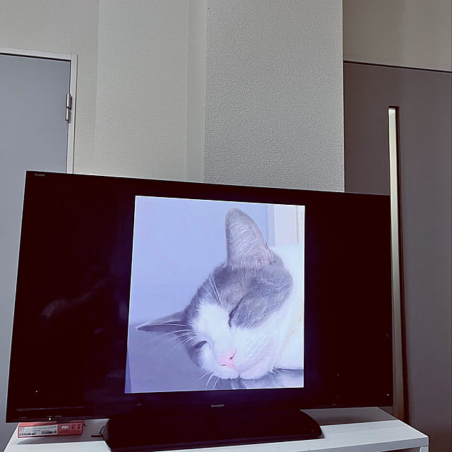 YUKA-REO-MOMOKOさんの実例写真