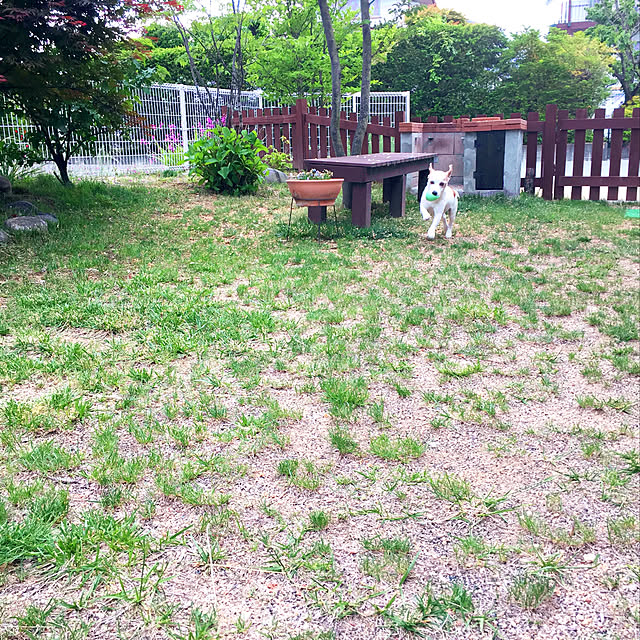 nanaさんの実例写真
