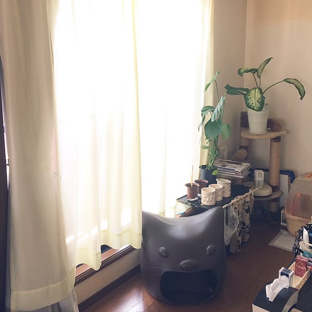 maimaiさんの実例写真