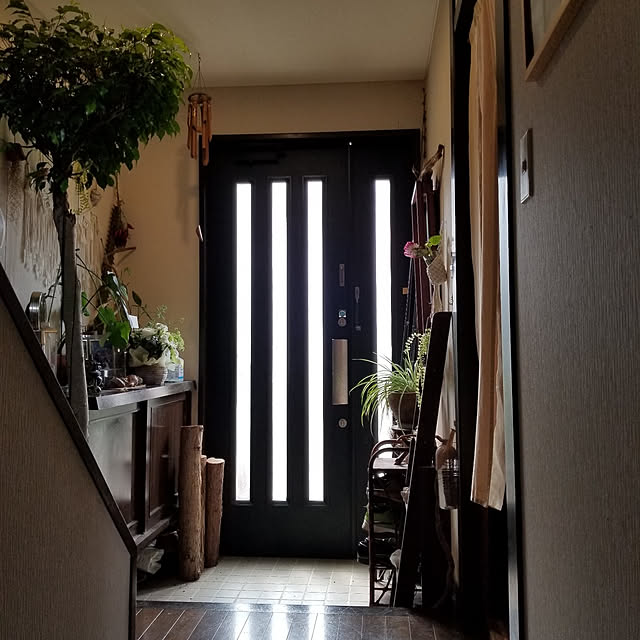 midoriさんの実例写真