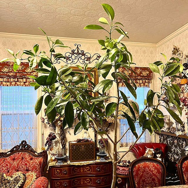 AYUKOさんの実例写真