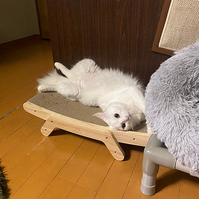 h163romiさんの実例写真