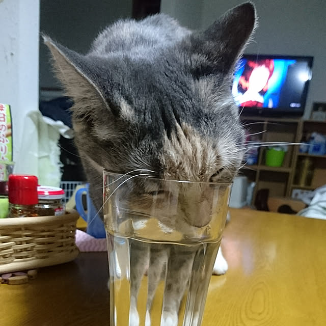 shinobuさんの実例写真