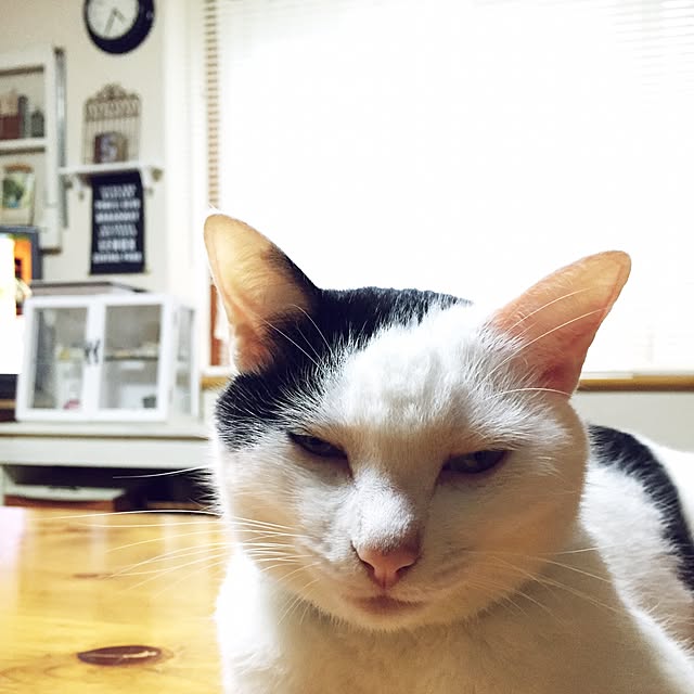 chiさんの実例写真