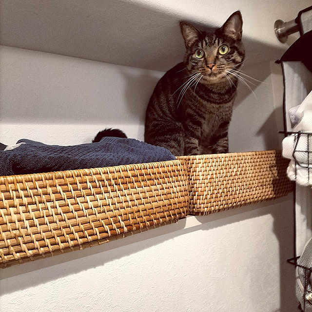 hihaさんの実例写真