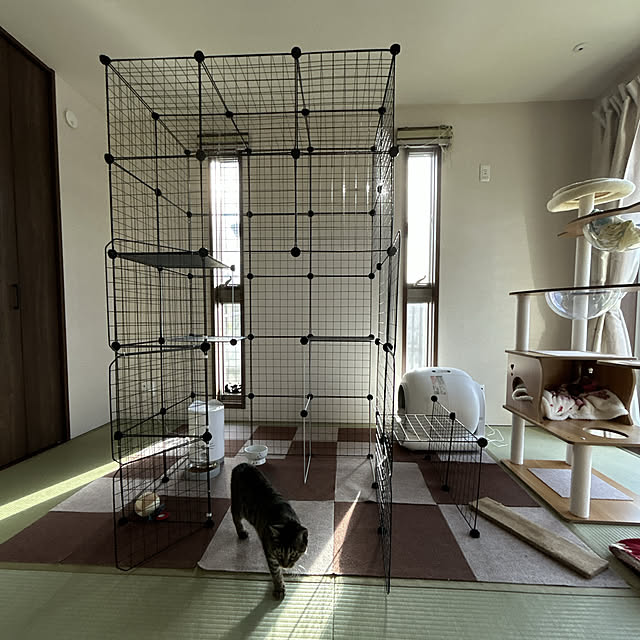 yunyumさんの部屋