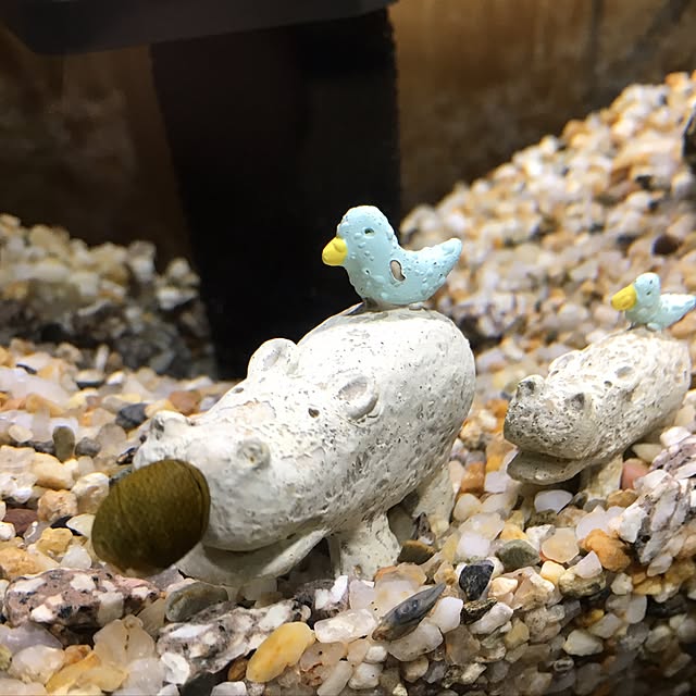 CHIROさんの実例写真