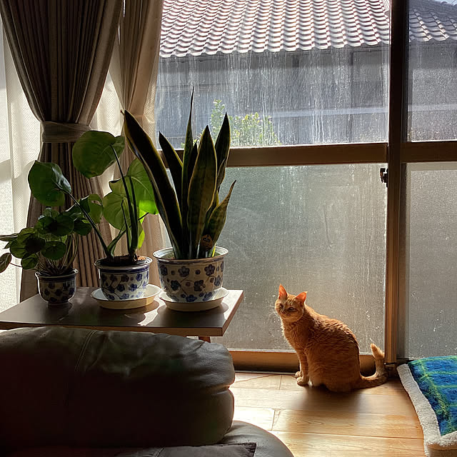 conatuさんの部屋