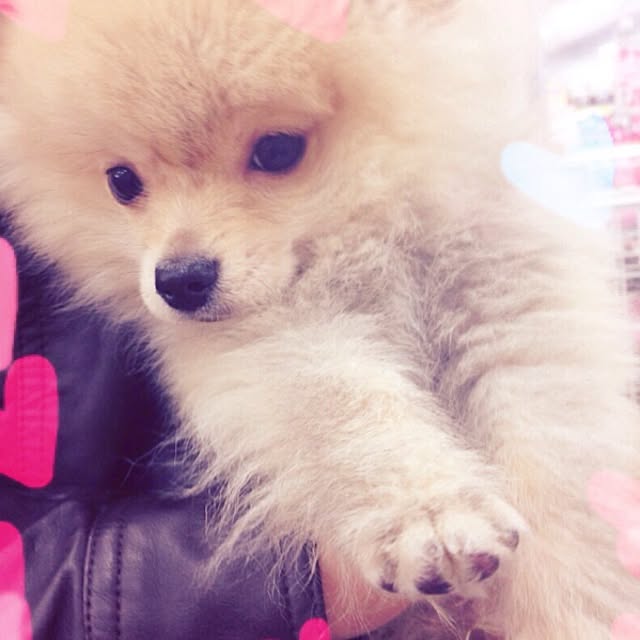 Tomotaさんの実例写真