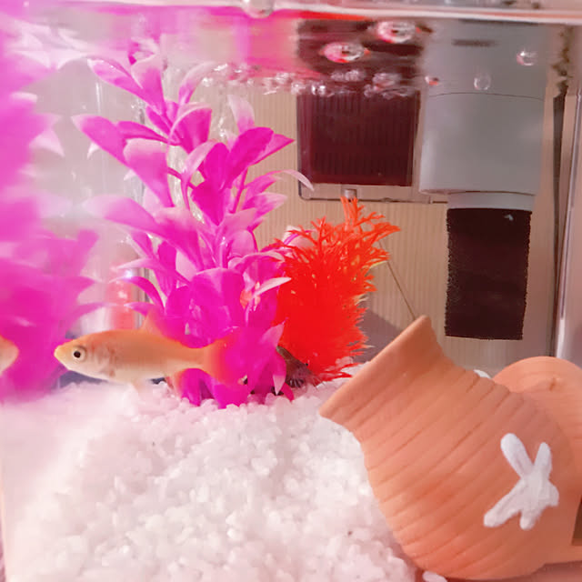 mxioさんの実例写真