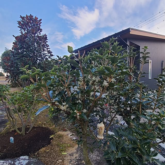 Rubiconさんの部屋