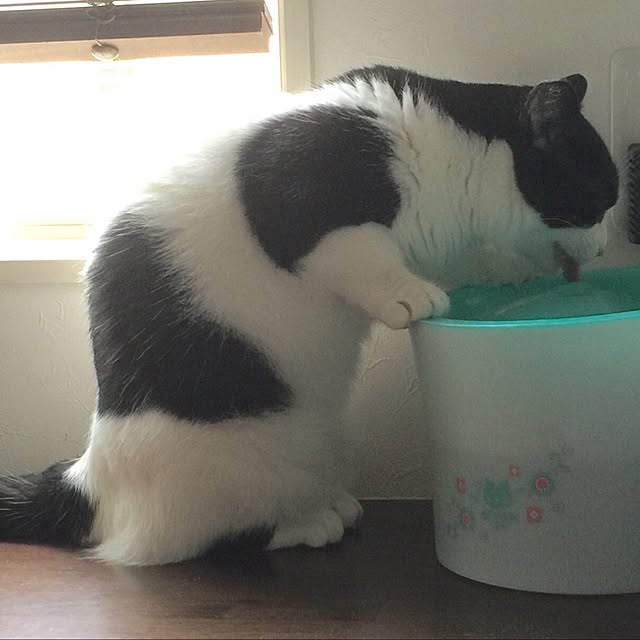neuruさんの実例写真