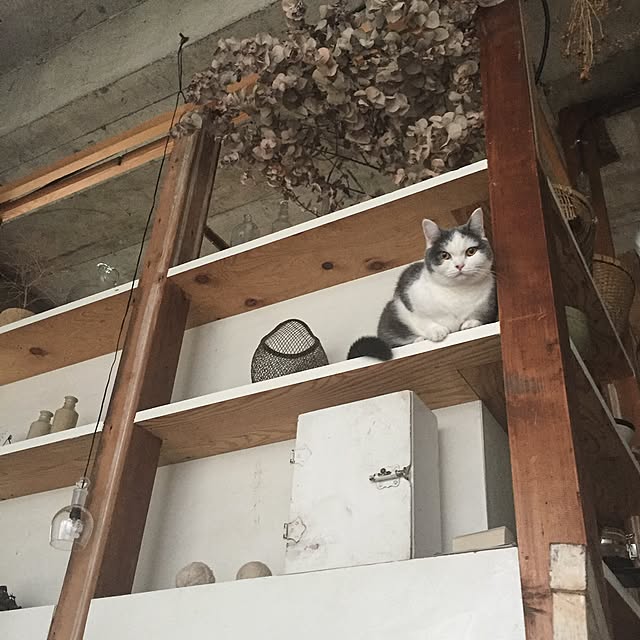 yunさんの実例写真