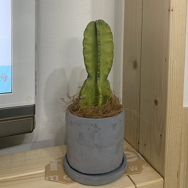 Yumiさんの実例写真