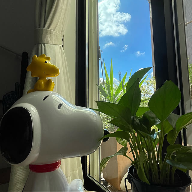 marinkoさんの実例写真