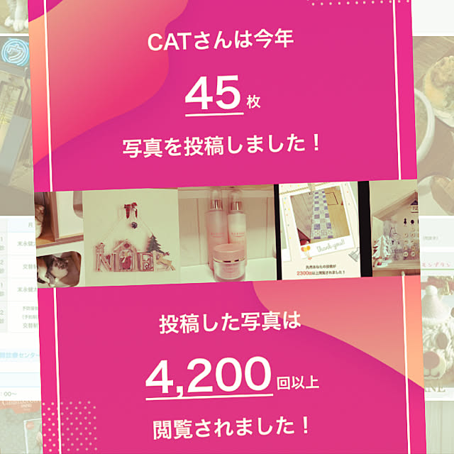 CATさんの実例写真
