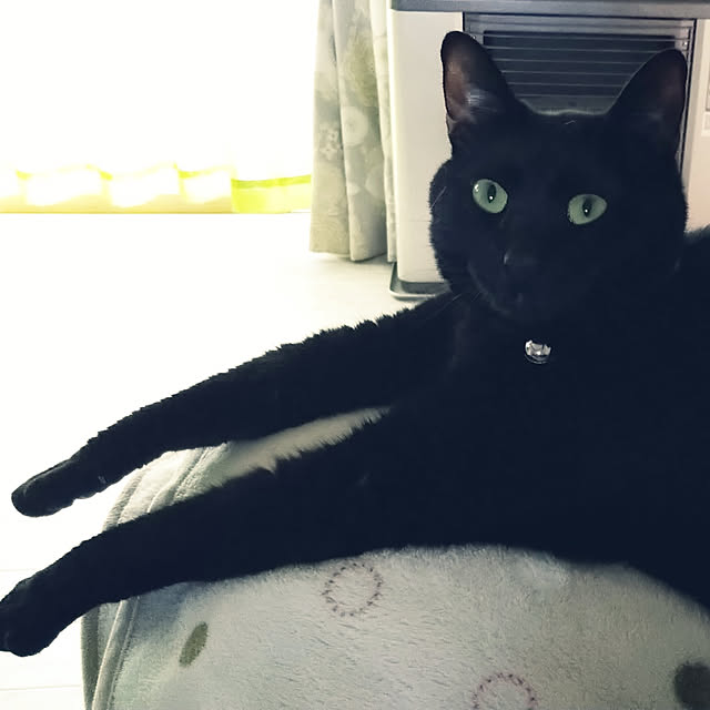 rieさんの実例写真