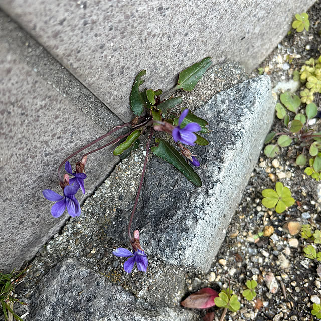 ritsukoさんの部屋