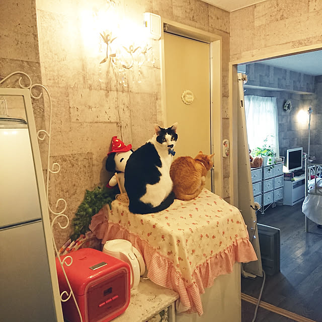 asuminさんの実例写真